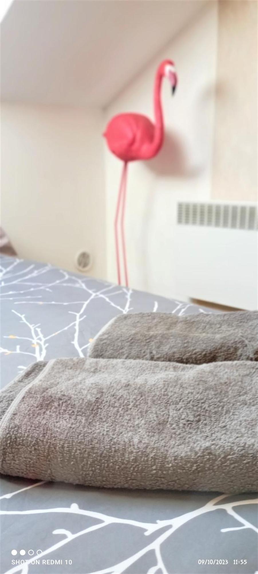 Studio Double 13 Avec Wifi Limoges Eksteriør billede